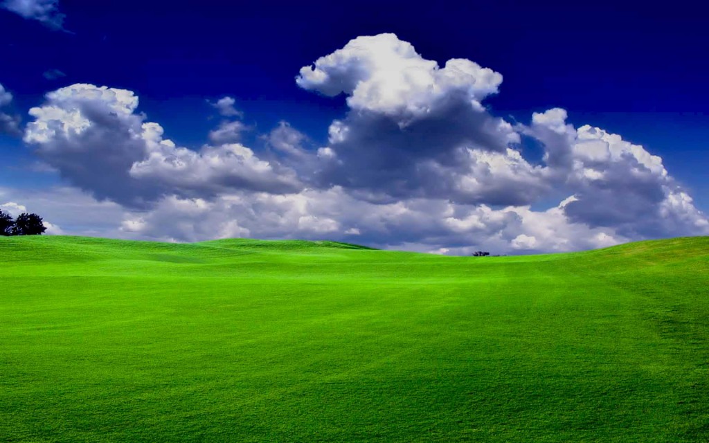 the grass is always greener